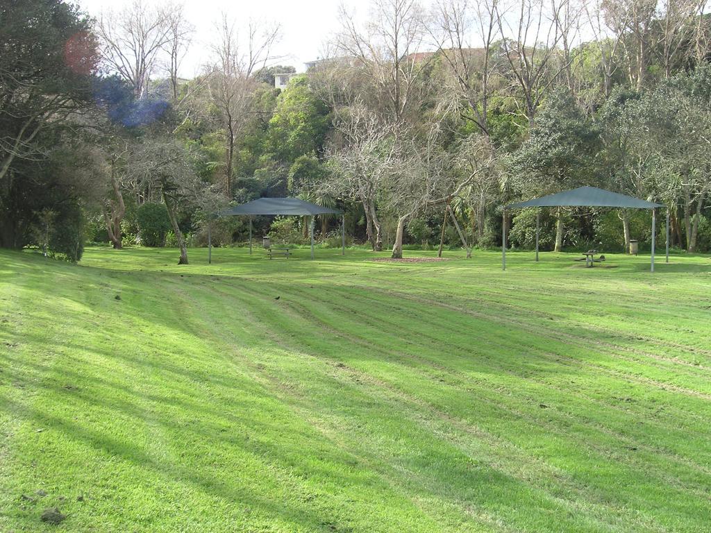 Bucket Tree Lodge Tawa Экстерьер фото
